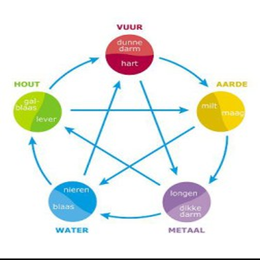 29016fa6 Ebac 4b7a B746 Ac5c423d0a27